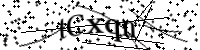 请键入下面的字母